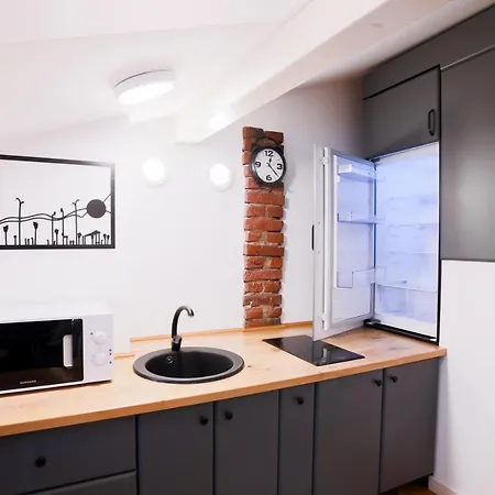 Mansarda Cotroceni Apartment