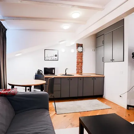 Mansarda Cotroceni *