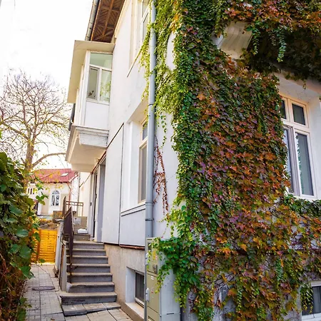 Mansarda Cotroceni *