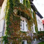 شقة Mansarda Cotroceni بوخارست