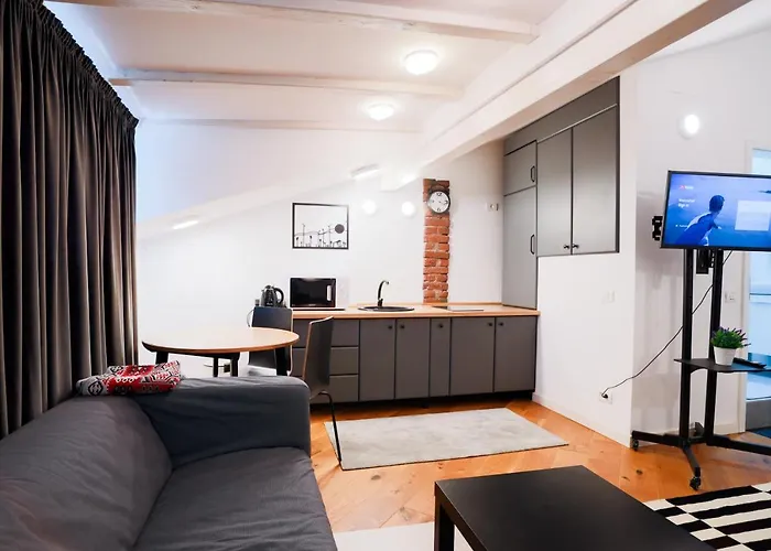 Mansarda Cotroceni *