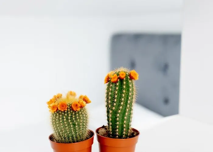 Daire Mansarda Cotroceni Bükreş