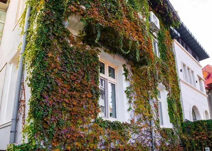 Daire Mansarda Cotroceni Bükreş